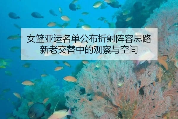 女篮亚运名单公布折射阵容思路 新老交替中的观察与空间